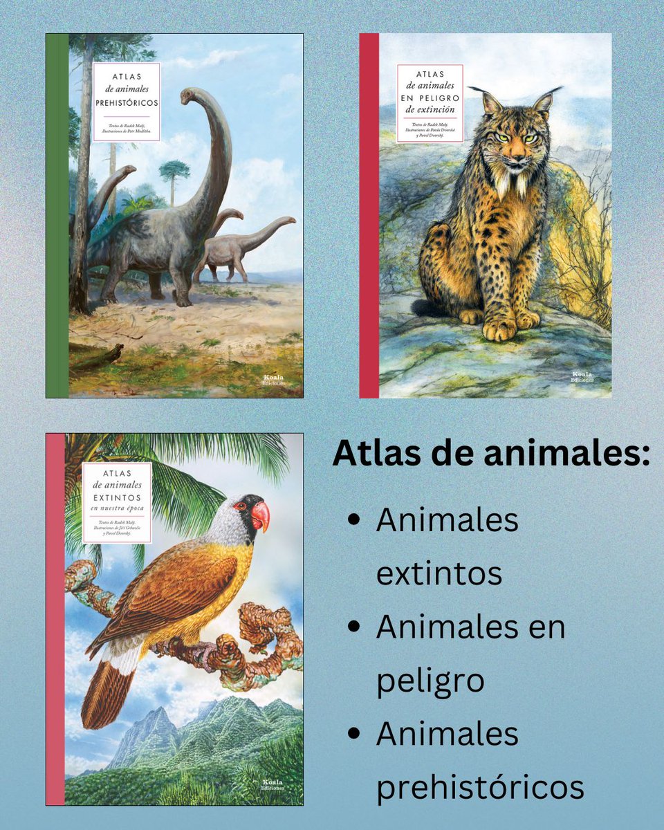 Koalaediciones tweet media