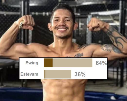 Finz Chats MMA tweet media