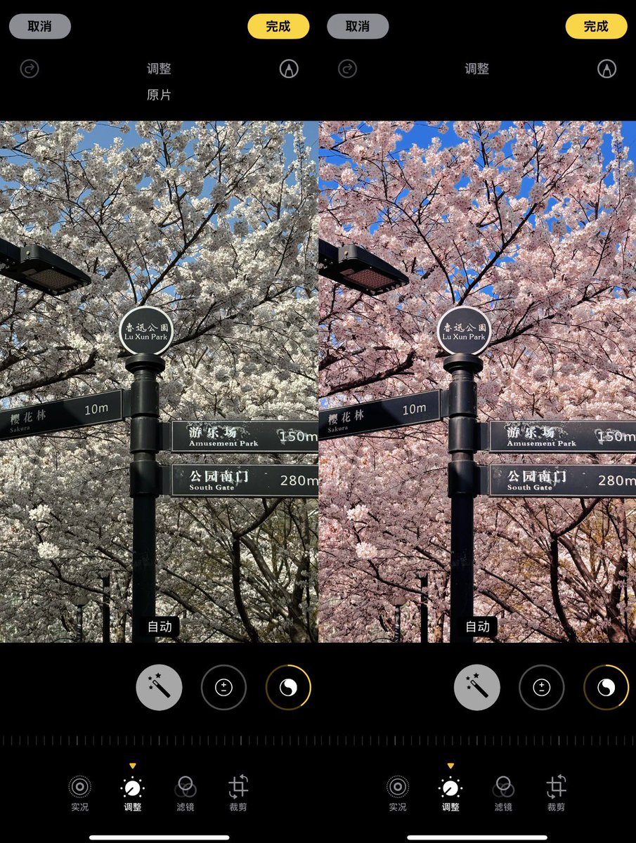 紅美女🇨🇳 tweet media