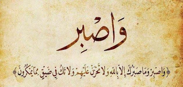 Sherinkaasem's tweet photo. @ksa_90x @wastt235311 https://t.co/3HszDhdwyA