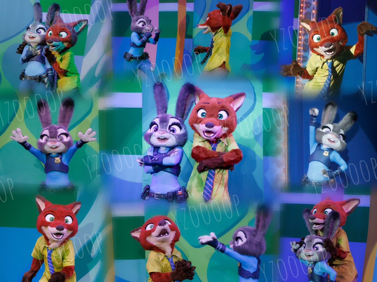 𝚢𝚘𝚙𝚘 tweet media