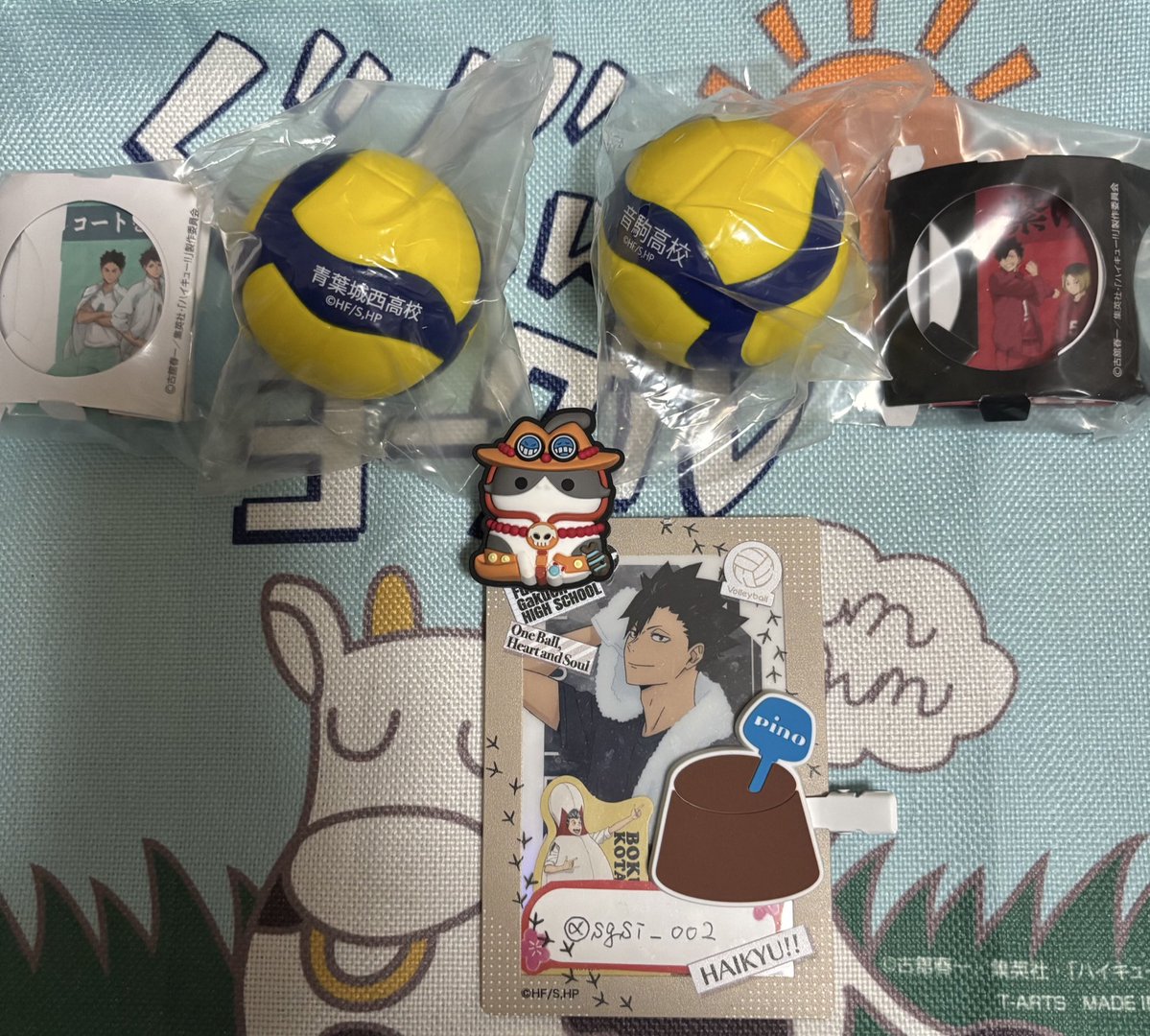 しょう🐾 tweet media