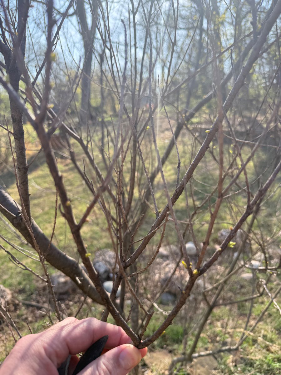 Paul M Smith tweet media