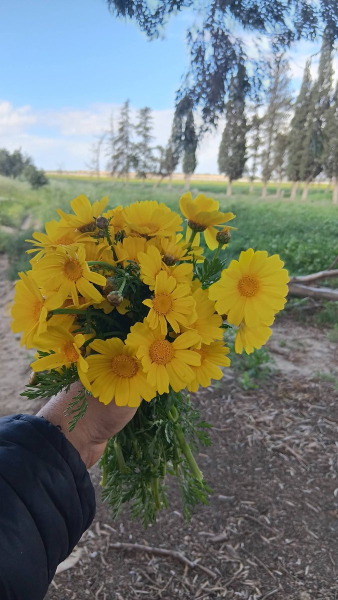 مختار tweet media