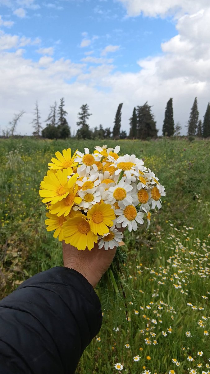 مختار tweet media