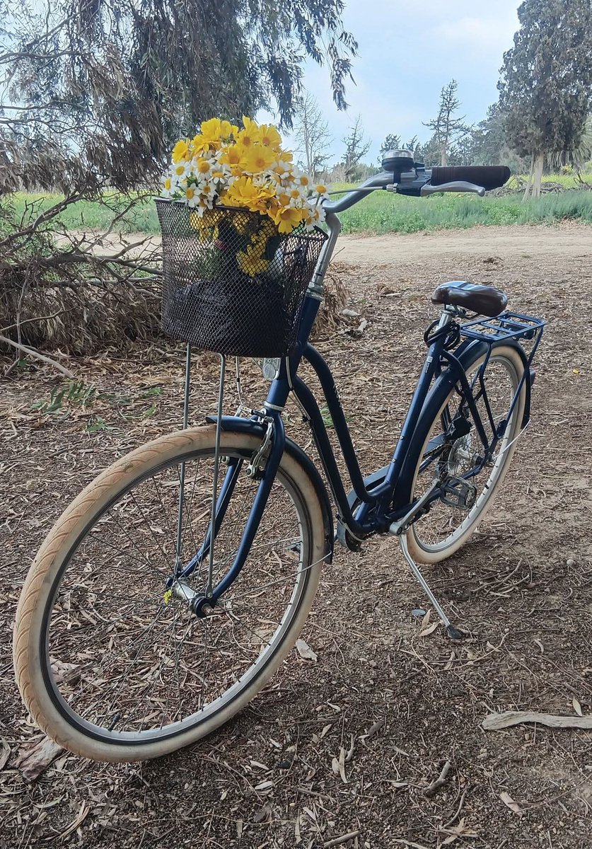 مختار tweet media