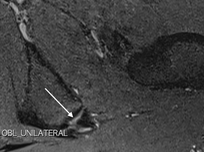 James Noake tweet media