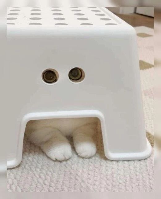 🍼uwu y쭌 우유🐾🏀 tweet media