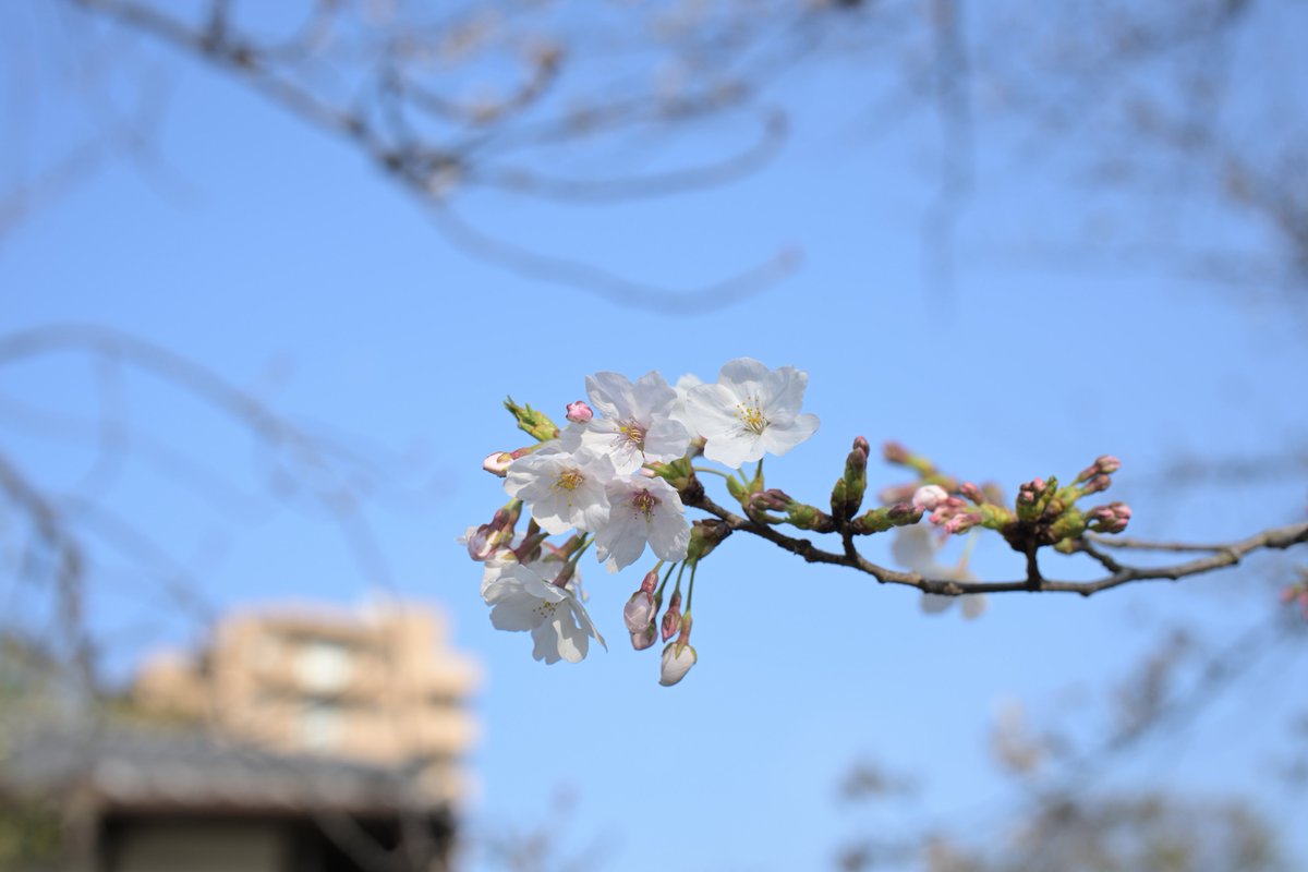 ✧*。ヾ(｡ᐳ﹏ᐸ｡)ﾉﾞ。*✧ tweet media