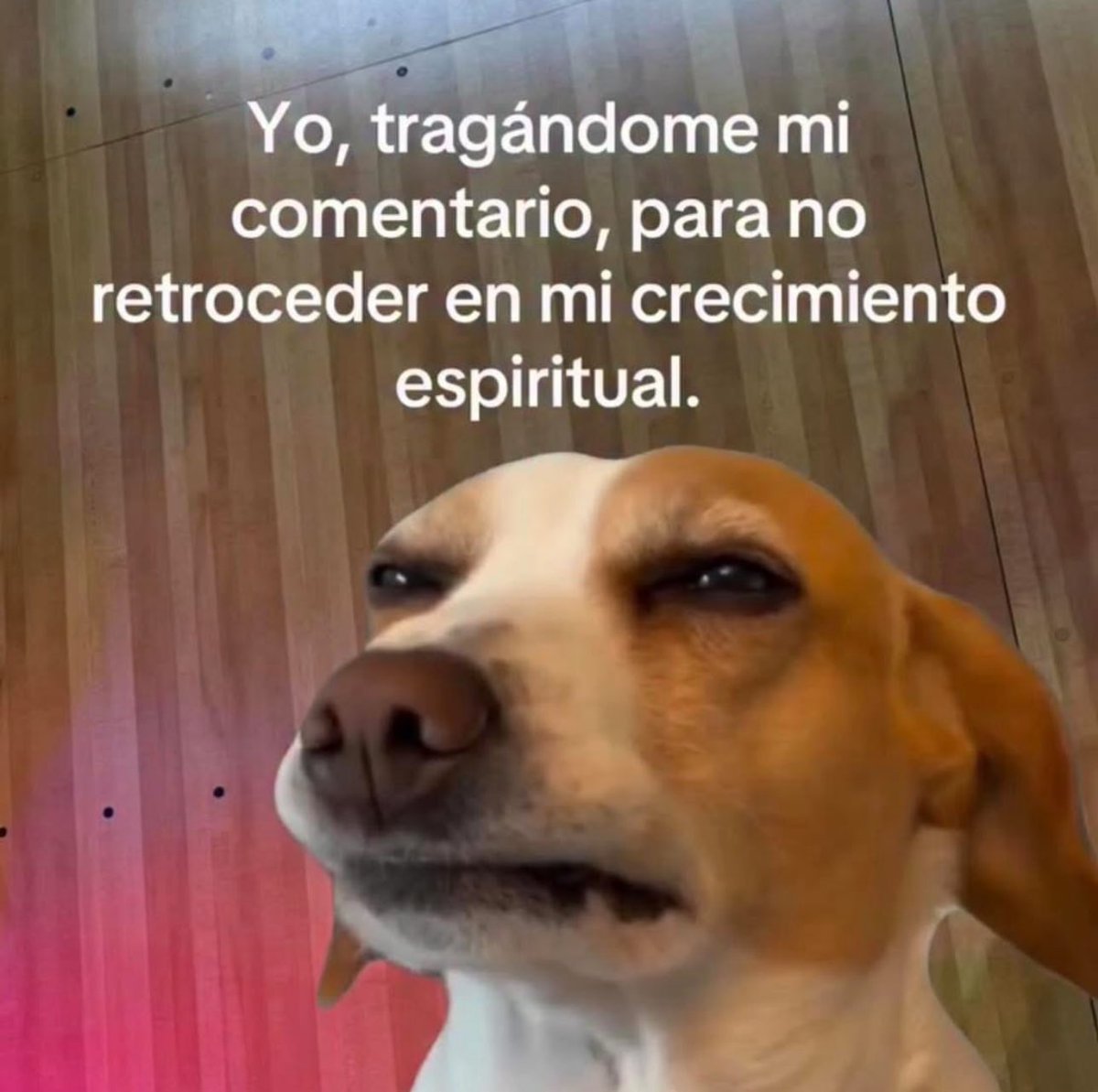 mejor me aguanto 😒