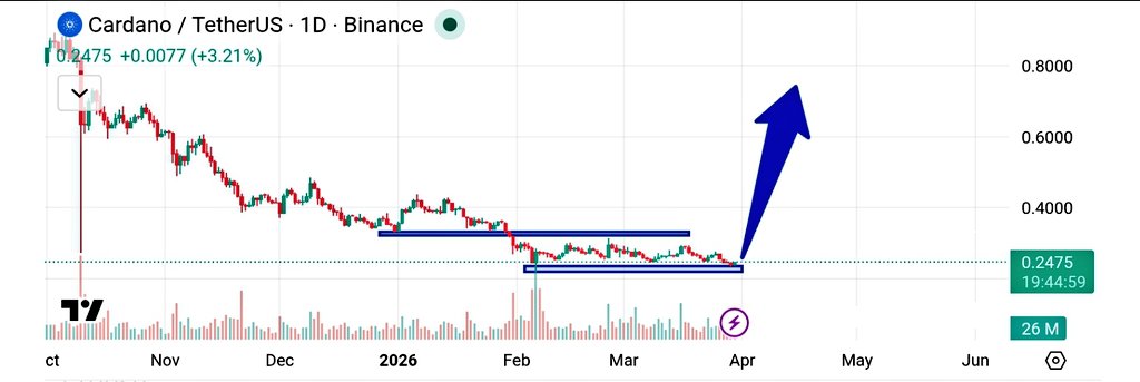 TapTools tweet media