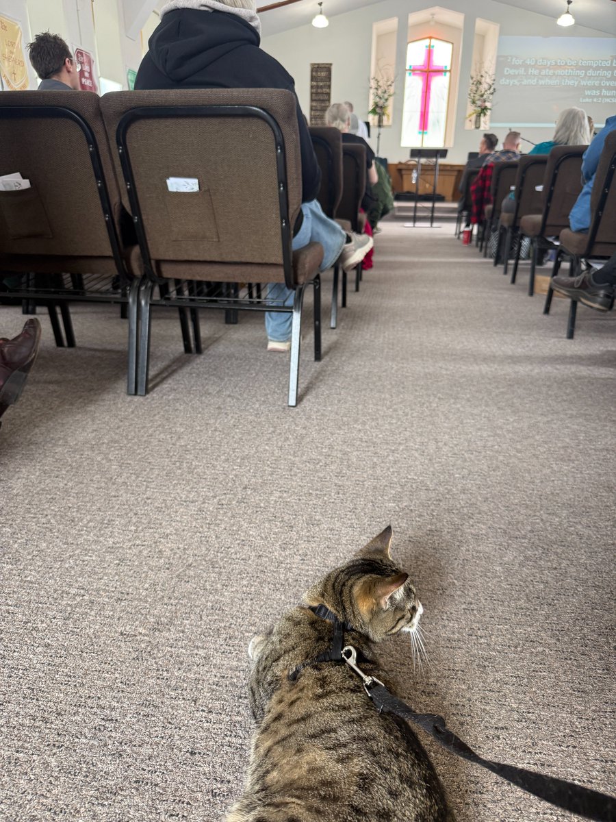 Brother John & Buddy the Cat tweet media