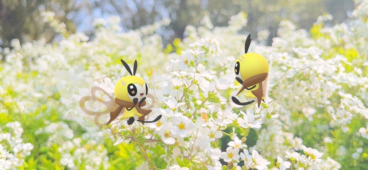 ニャンゴス tweet media