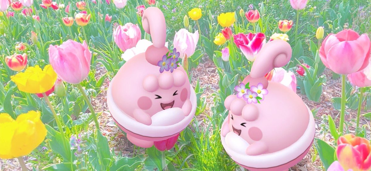 ニャンゴス tweet media