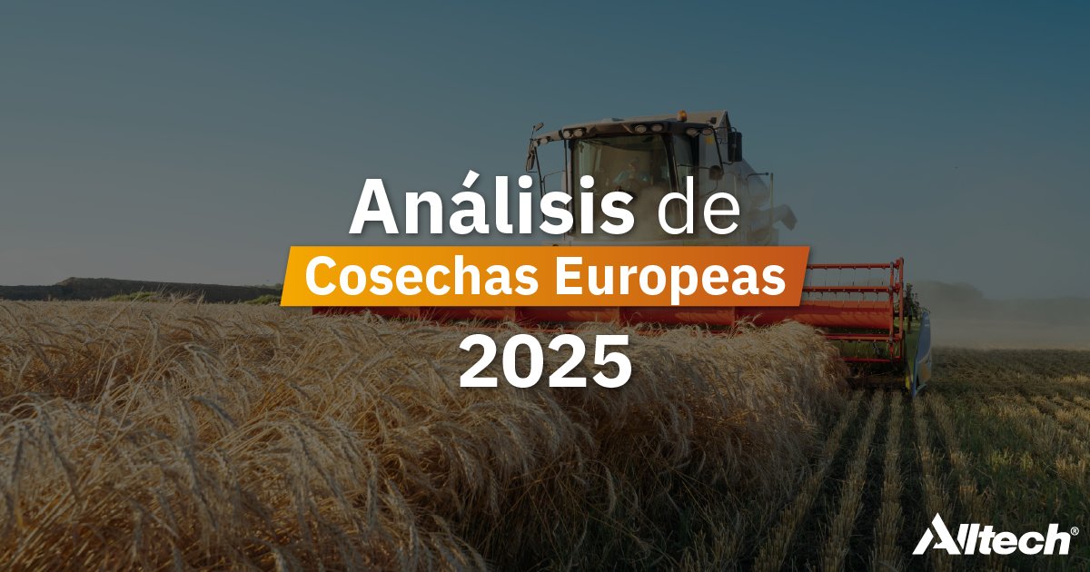 Alltech Spain tweet media