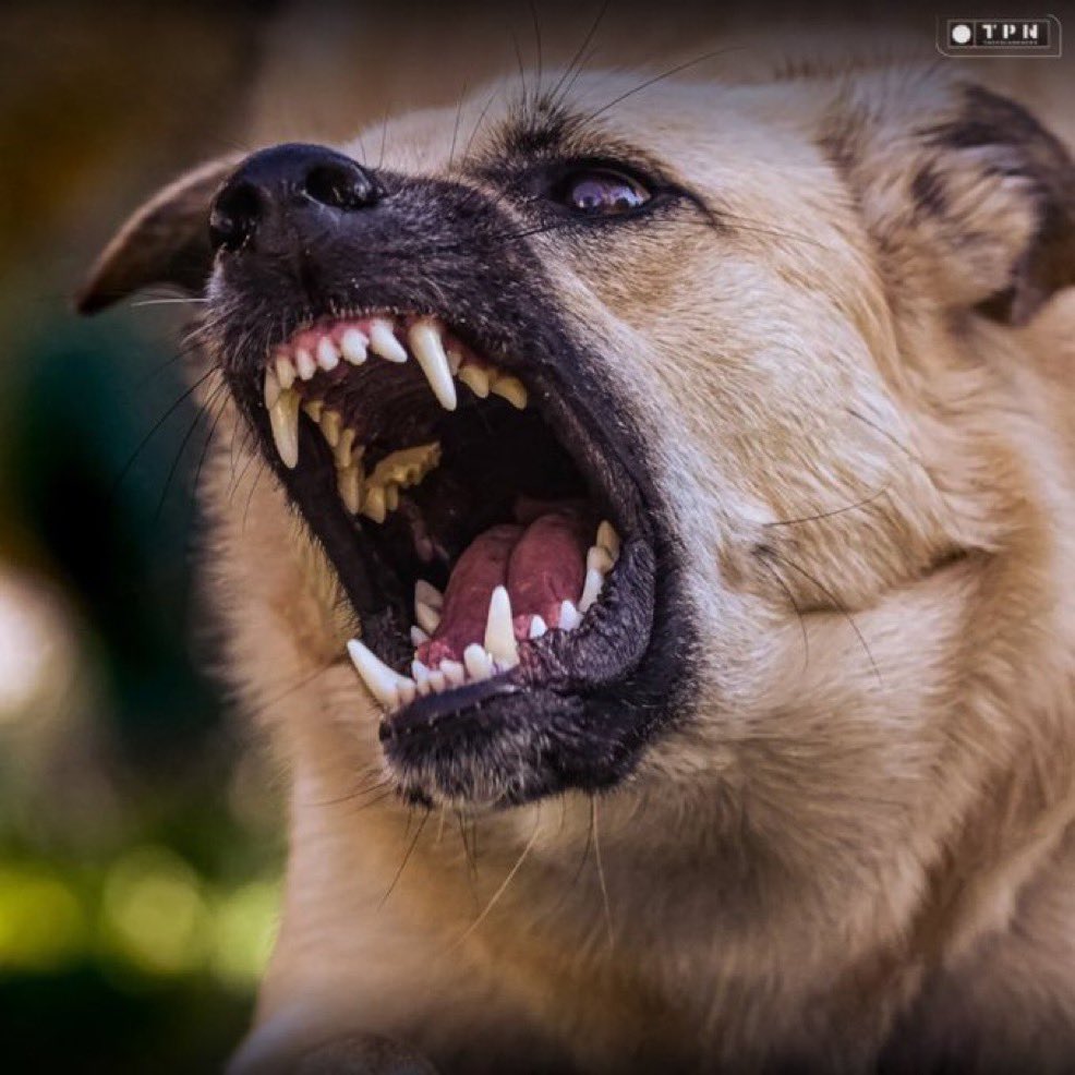 🌐 ᴛʜᴇᴘᴏʟᴀɴᴅɴᴇᴡs 🌐 tweet media