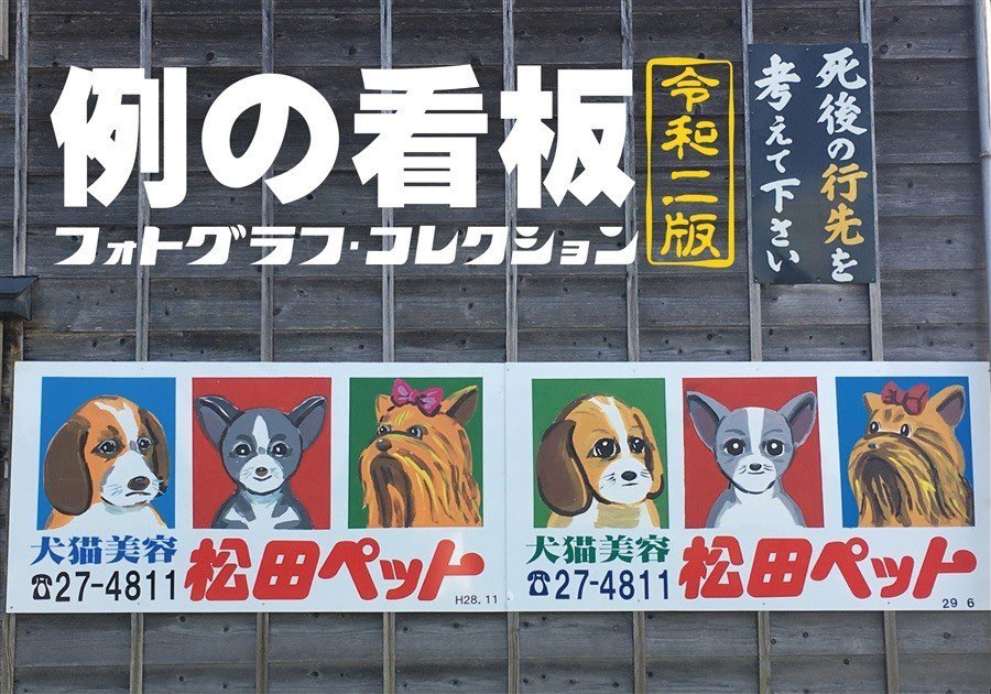 新稲ずな🐶~4/6例の看板展in銀座 tweet media