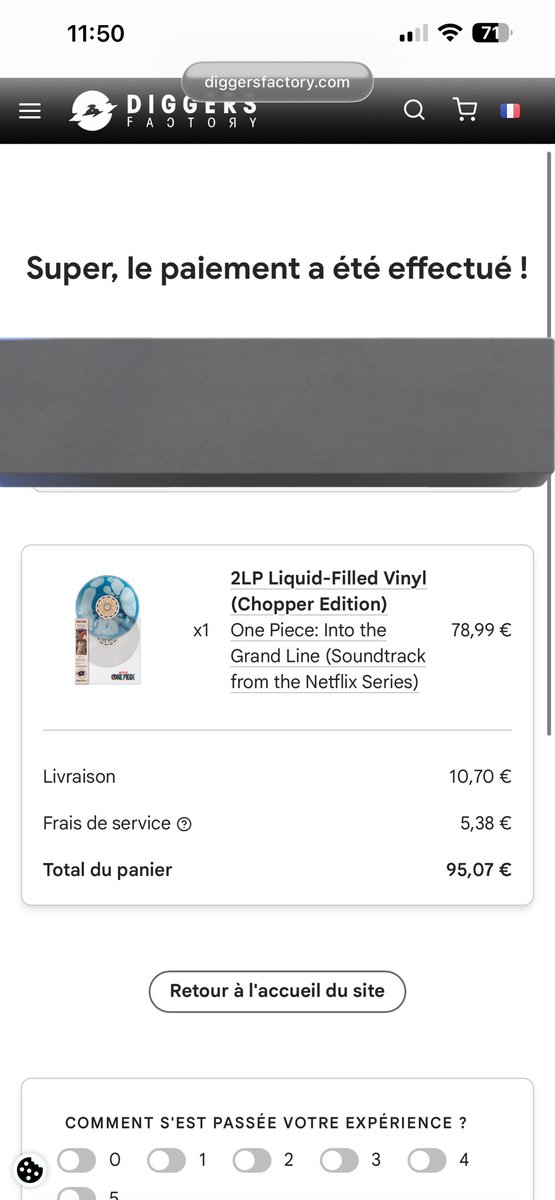 alex 🦝 tweet media