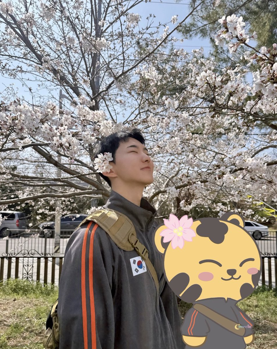 ᶜⁱⁿᵃʳᵉˡˡᵉ ੯‧̀͡⬮ tweet media