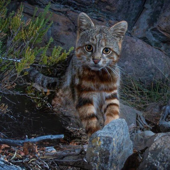 positive side of X 🌞 tweet media