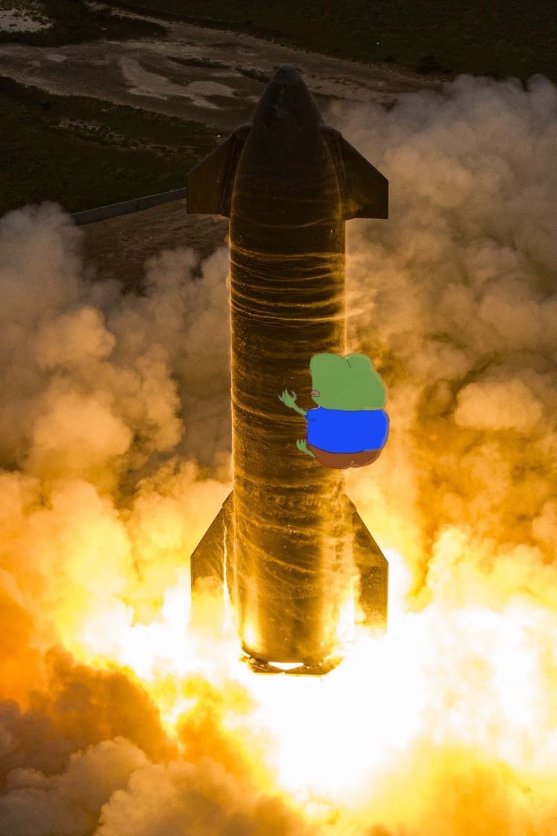 Bobi the Band tweet media