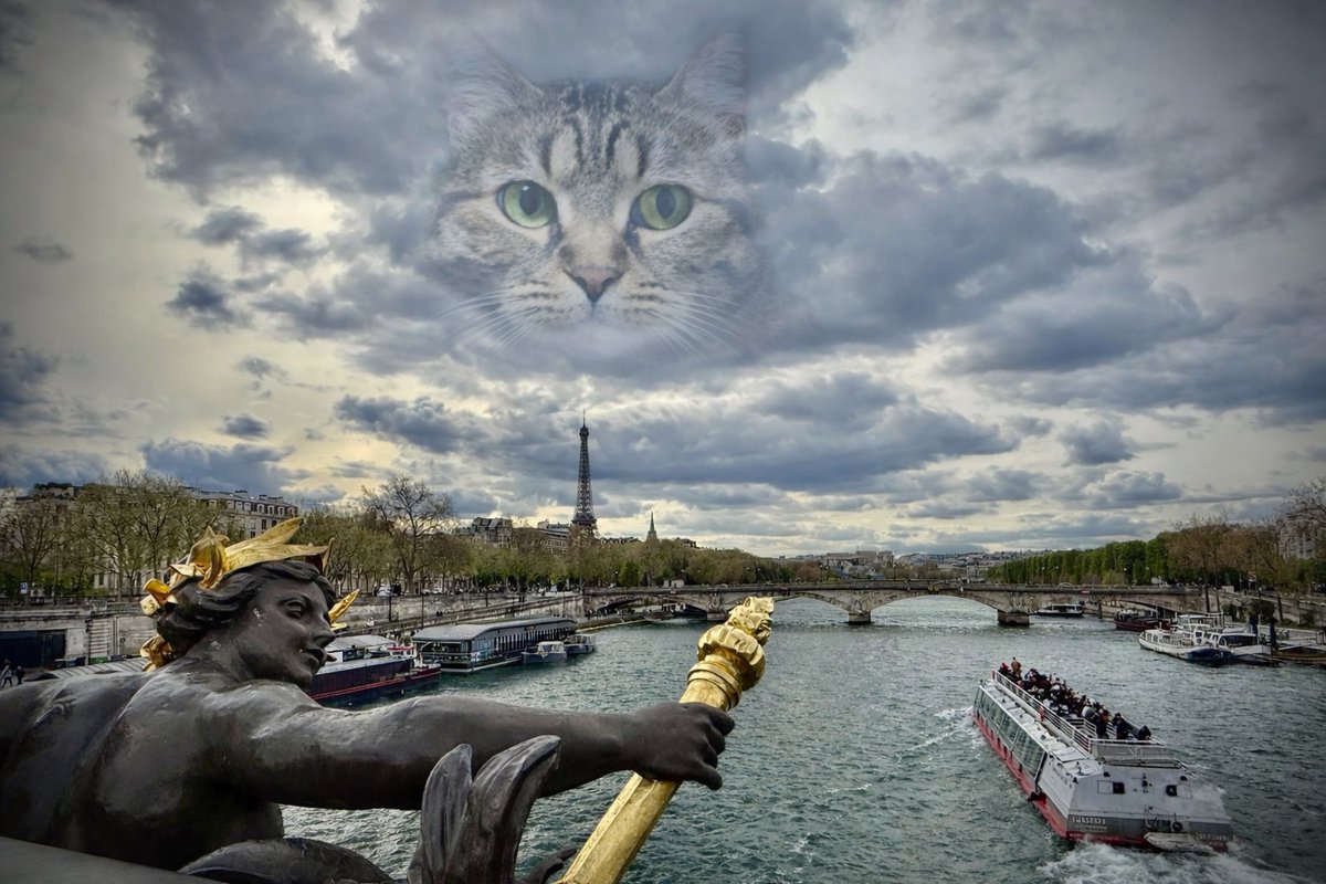 あやのん tweet media