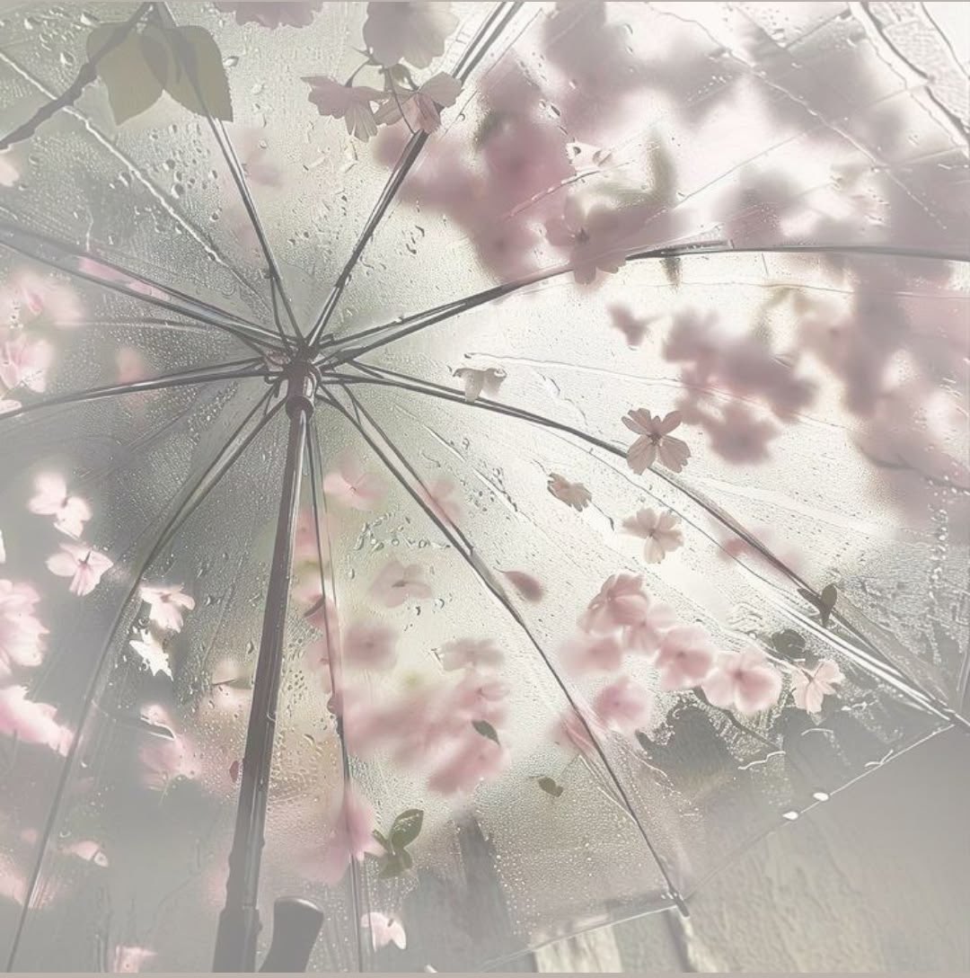 the girl with 𝘸𝘩𝘪𝘮𝘴𝘪𝘤𝘢𝘭 𝘥𝘳𝘦𝘢𝘮𝘴 ꫂ❁ tweet media