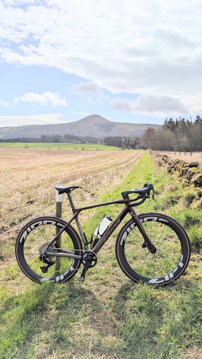 Tom Moodie tweet media