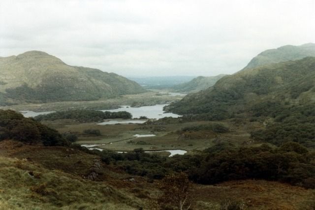 lucía ౨ৎ tweet media