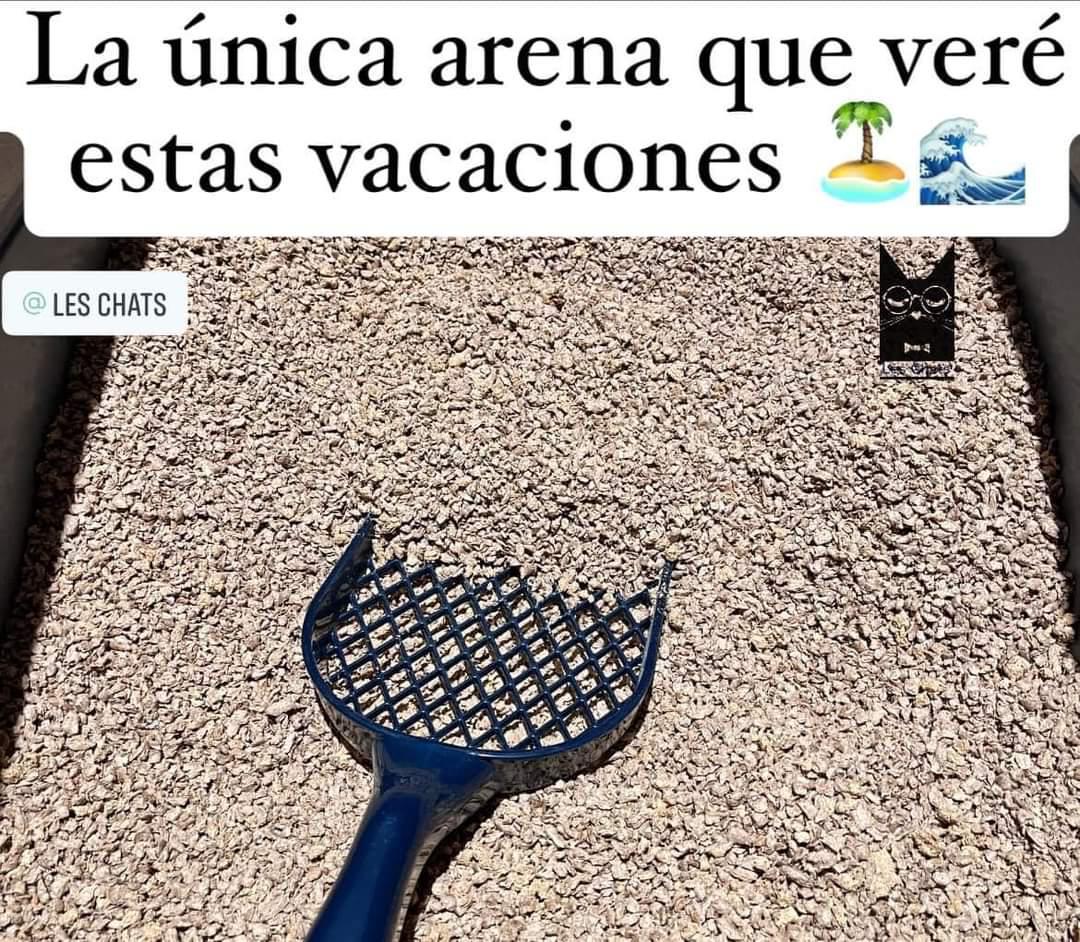 Alfredo Marquez T. tweet media