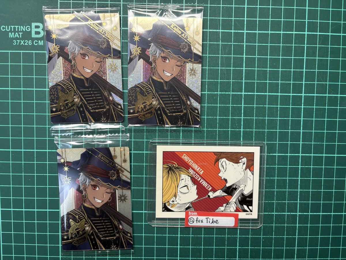 チベくん(求固定) tweet media