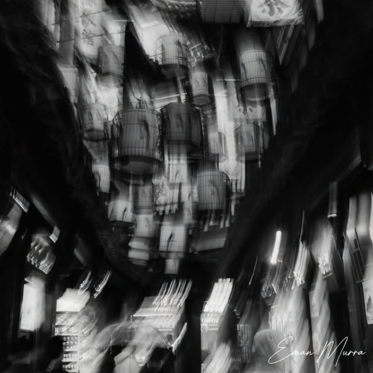 eman_murra's tweet image. 📸and 🎶#Song My ! #Canon eos r6
Tu sei la mia vertigine,la migliore ossessione
Portami con Te,fino a dove trovo Sole
Sei Musica e respiro
il mio capogiro..
ti sento sottovoce, 
ritmo  scorre veloce
Non dirmi il Tuo nome
a me  basta solo... 
Il titolo.. 
di questa nostra canzone