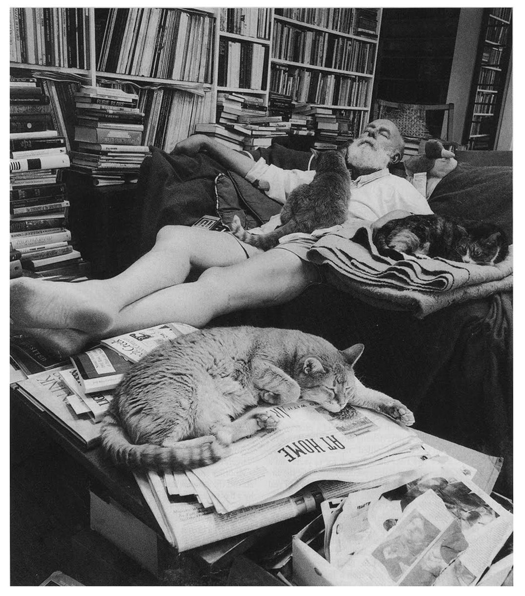 Cartoonist Pics tweet media