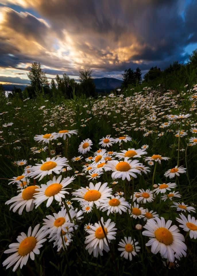 SarahLyndsay tweet media