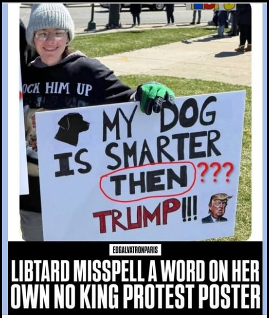 ⭐Tim Lockett ⭐𝕏 tweet media