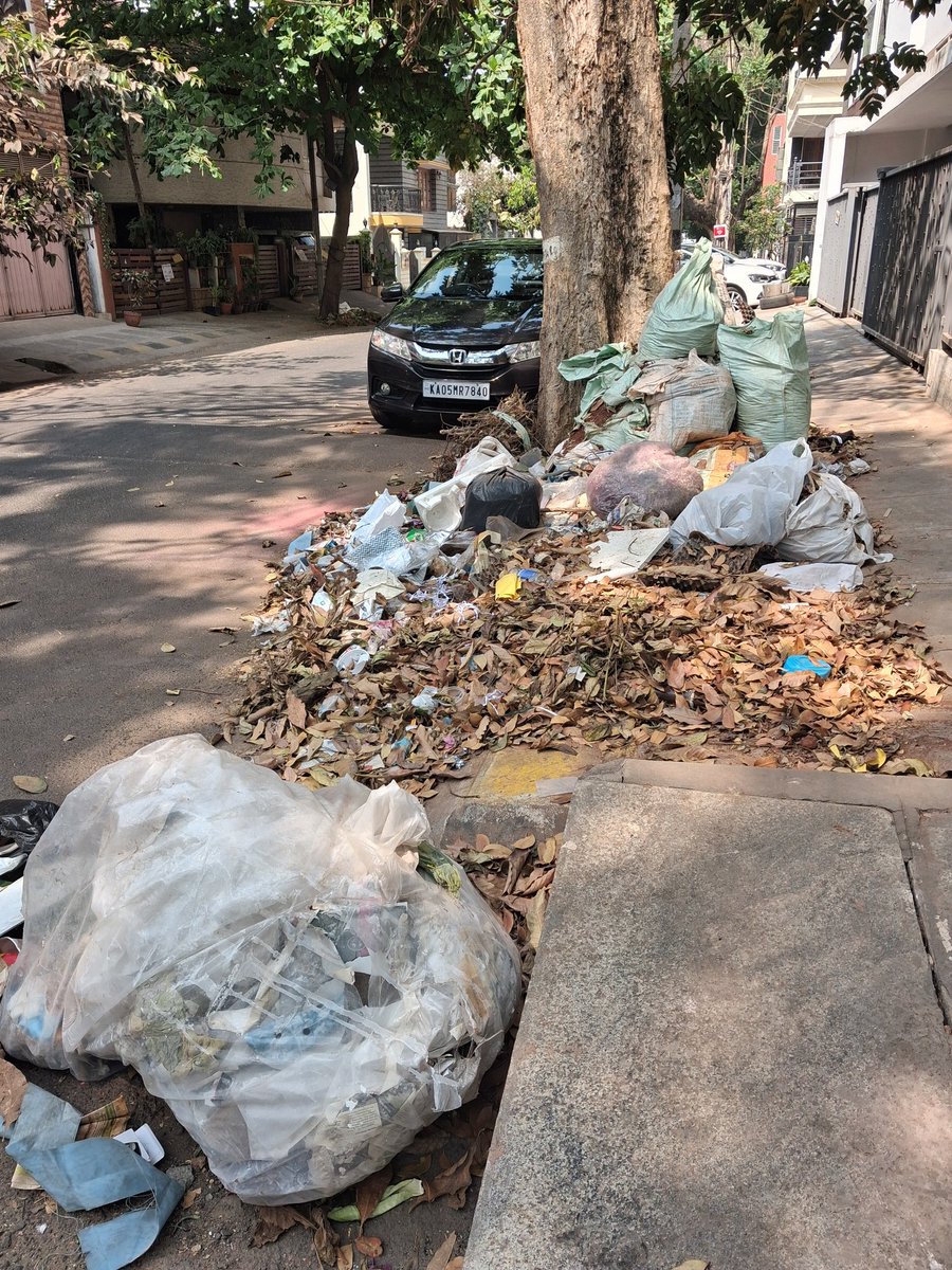 Proteep Mallik tweet media