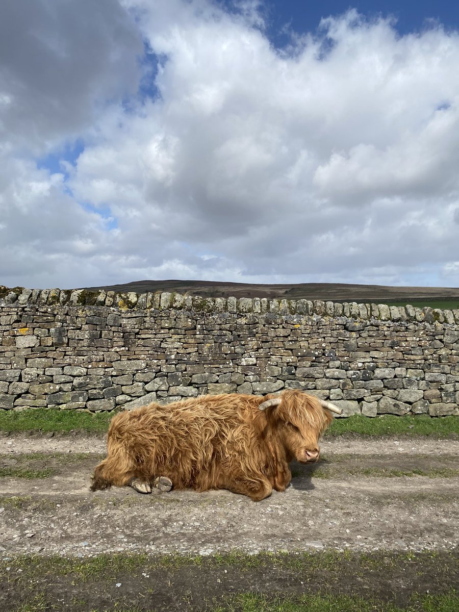 WallaFourteen14 tweet media