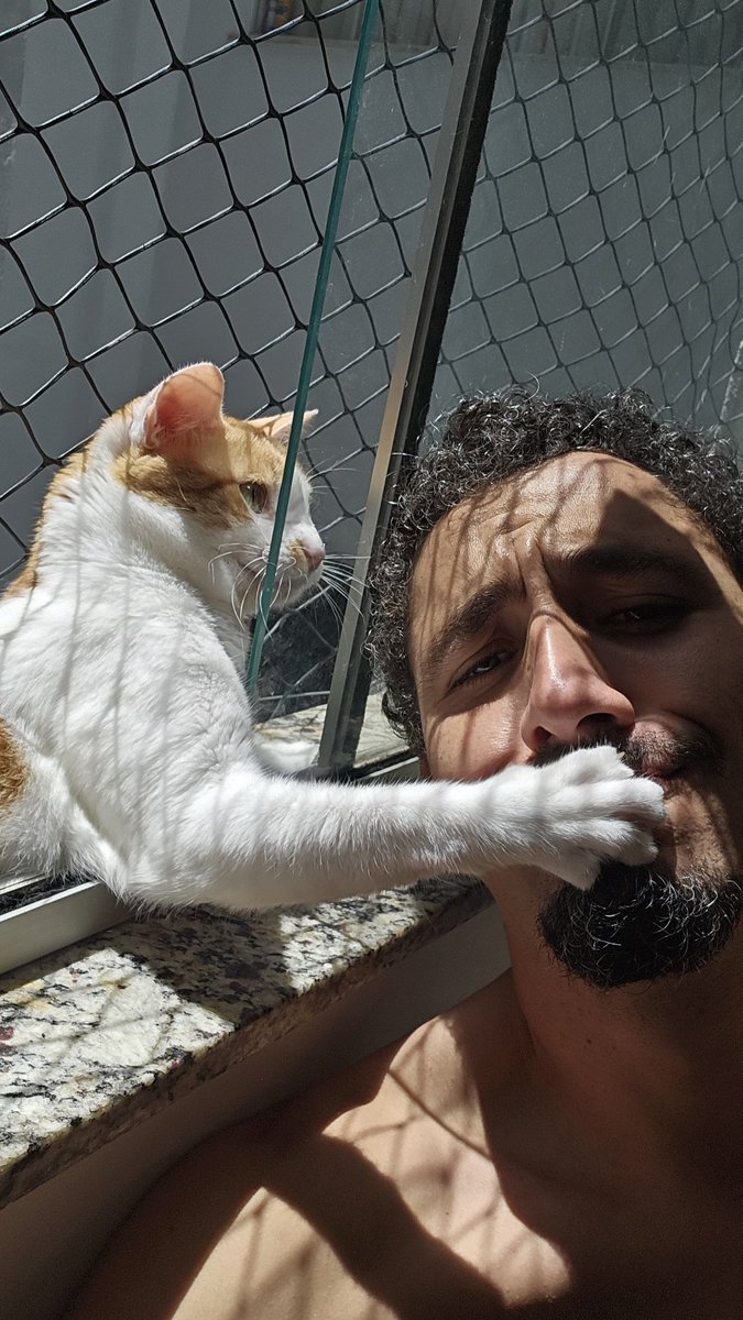 Cállate puta