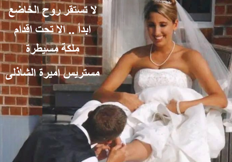 جروب مستريس اميرة الشاذلى tweet media