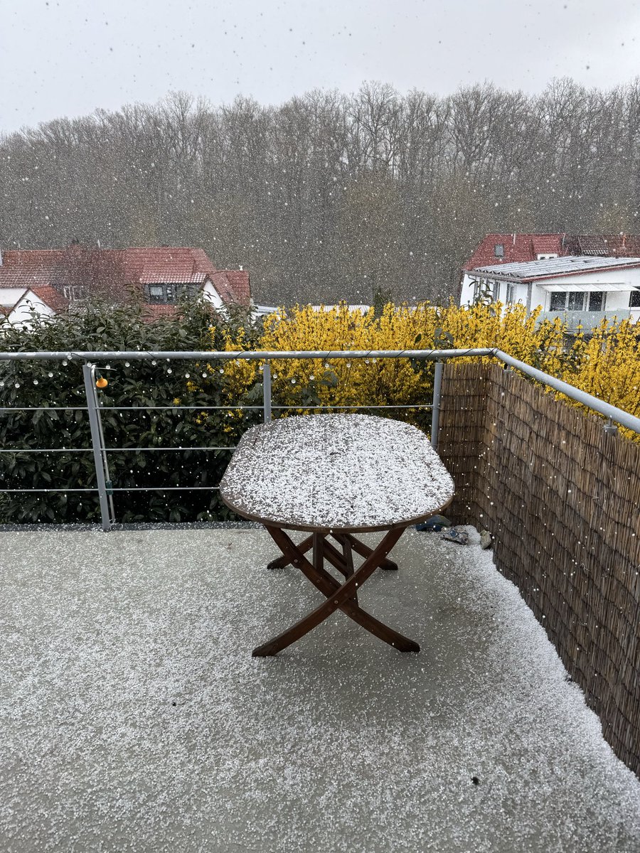 StefanRows's tweet photo. Just wanted to go for a walk because it was finally sunny.

Spring in Germany ftw https://t.co/nQPDBqktwT
