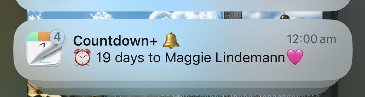 laura 📀 𑣿 tweet media