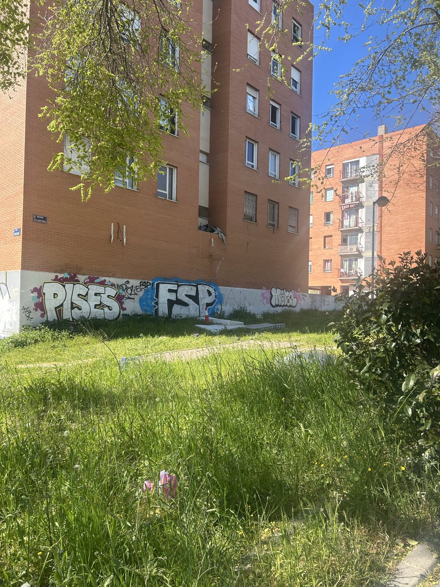 Mabel London tweet media