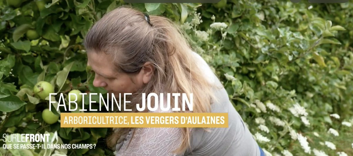 Géraldine Woessner tweet media