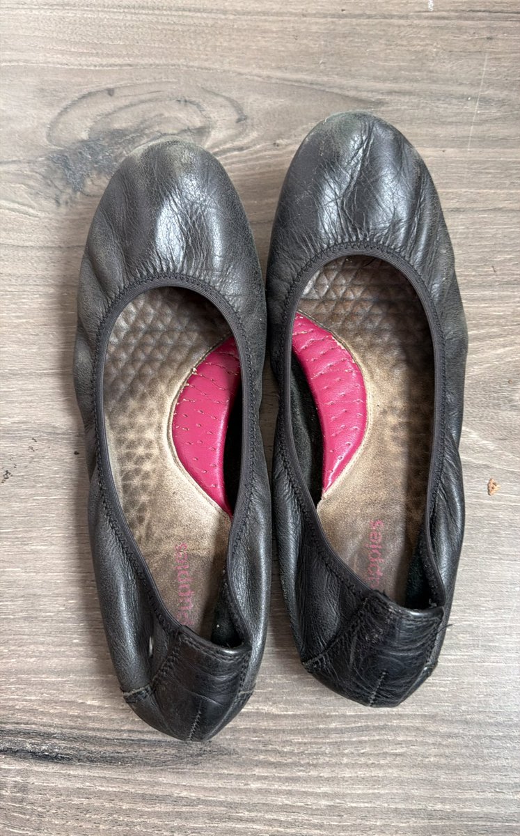 Sydney Lee tweet media