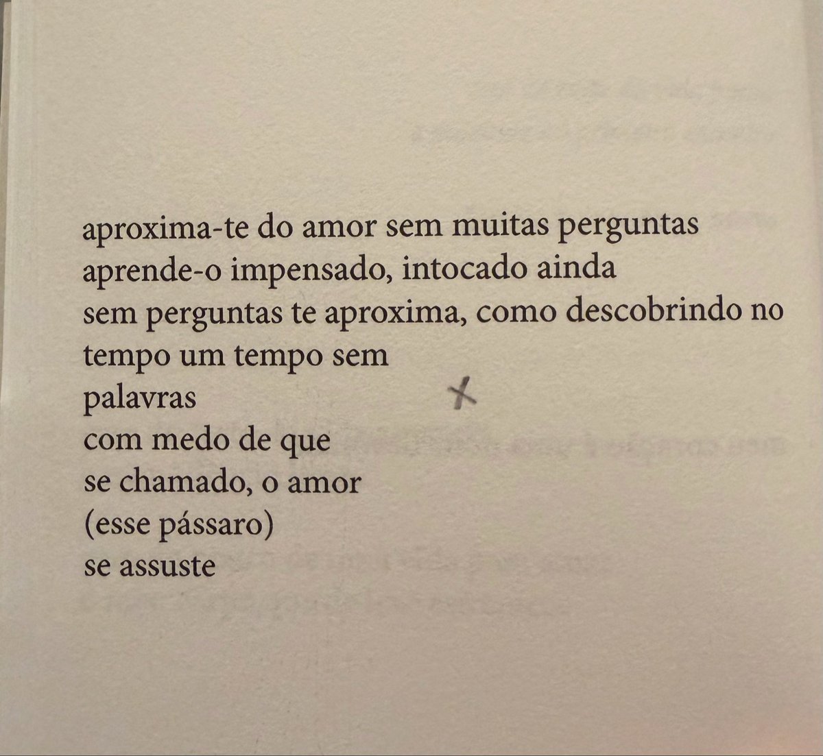 Mar Becker, PRIMEIRO ROSTO, edição Sr. Teste