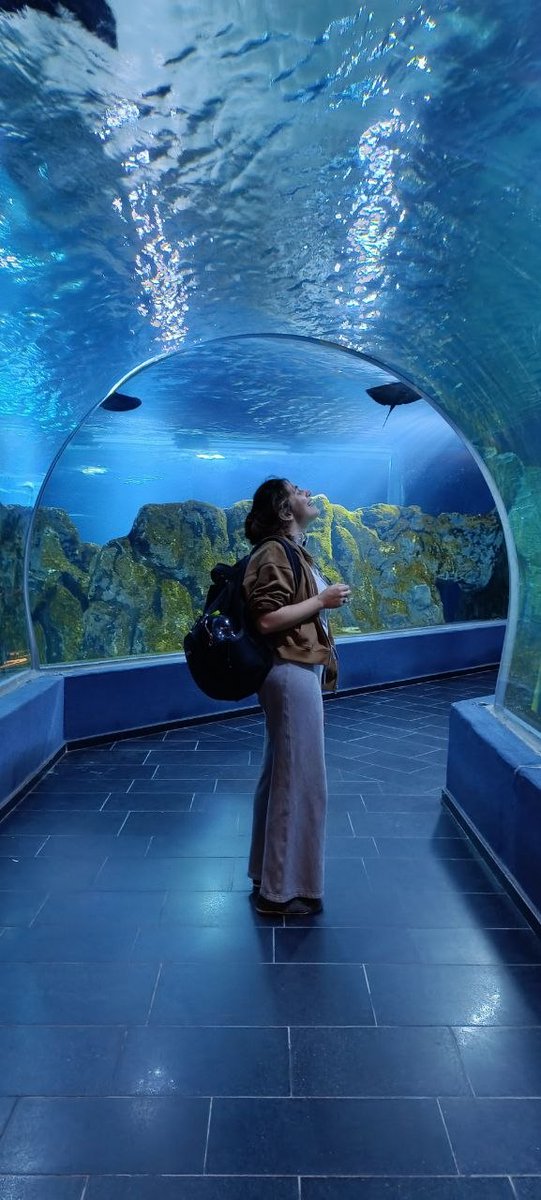 поддержи моё пиво tweet media