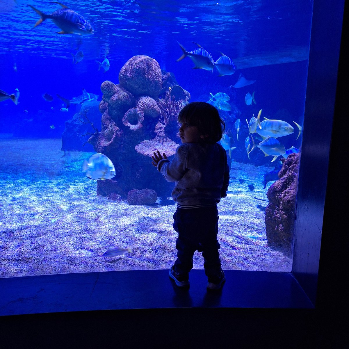 поддержи моё пиво tweet media