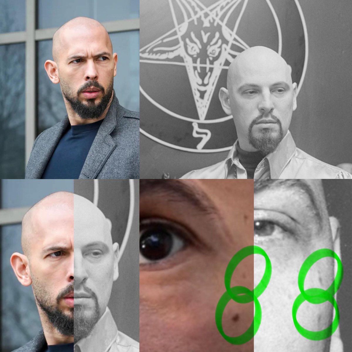 Truth Seeker tweet media