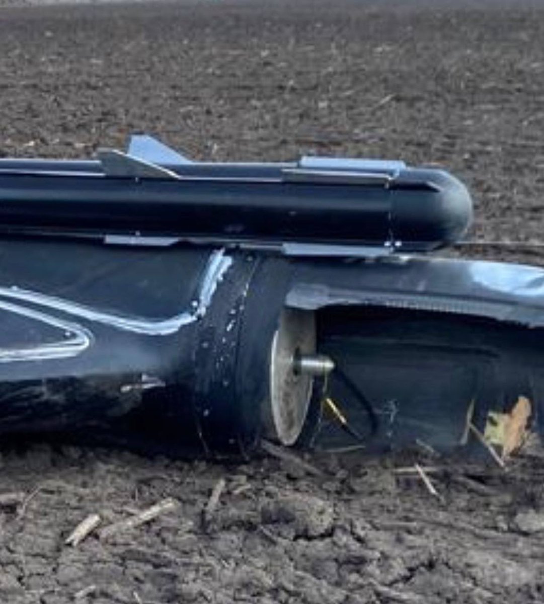 Special Kherson Cat 🐈🇺🇦 tweet media