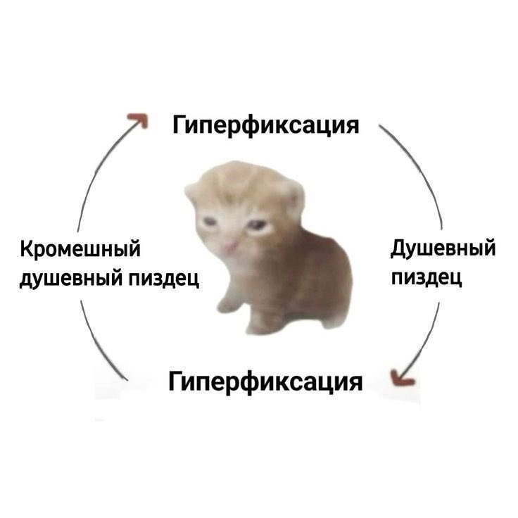 Таттичка tweet media